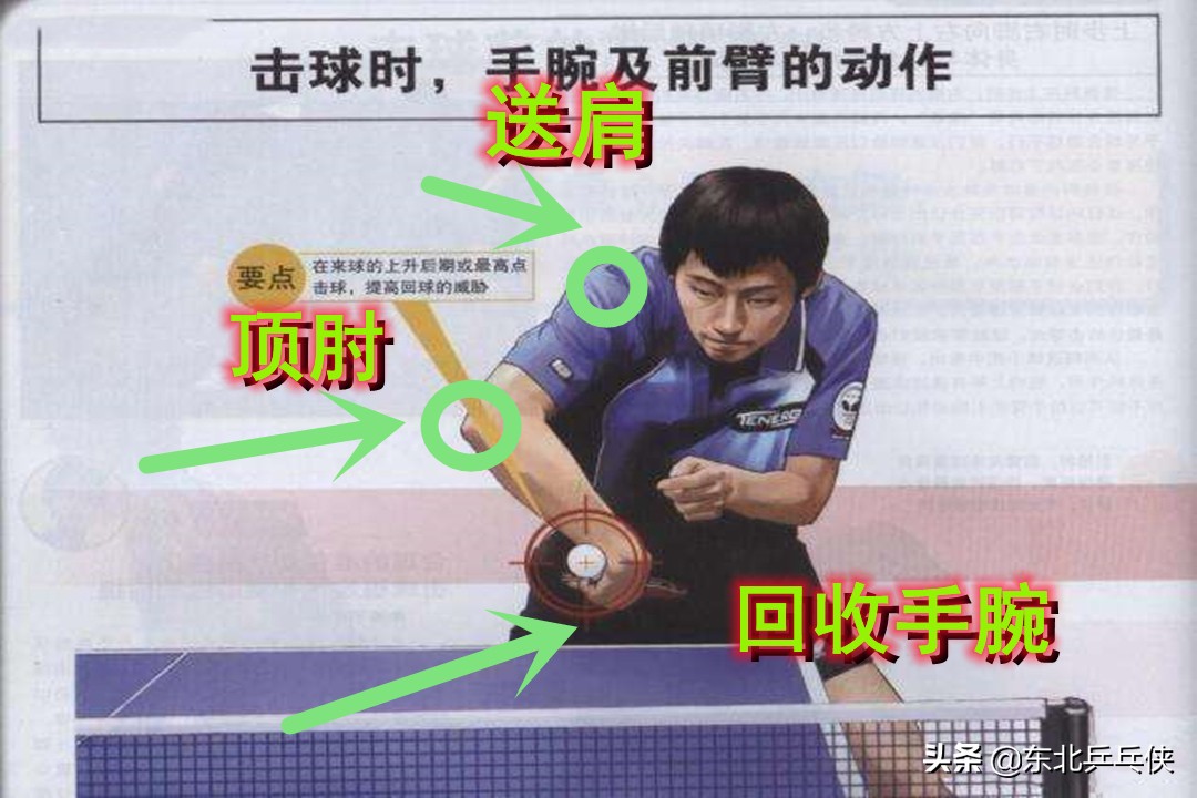 乒乓球拧拉的步法,乒乓球张继科霸王拧学习教程