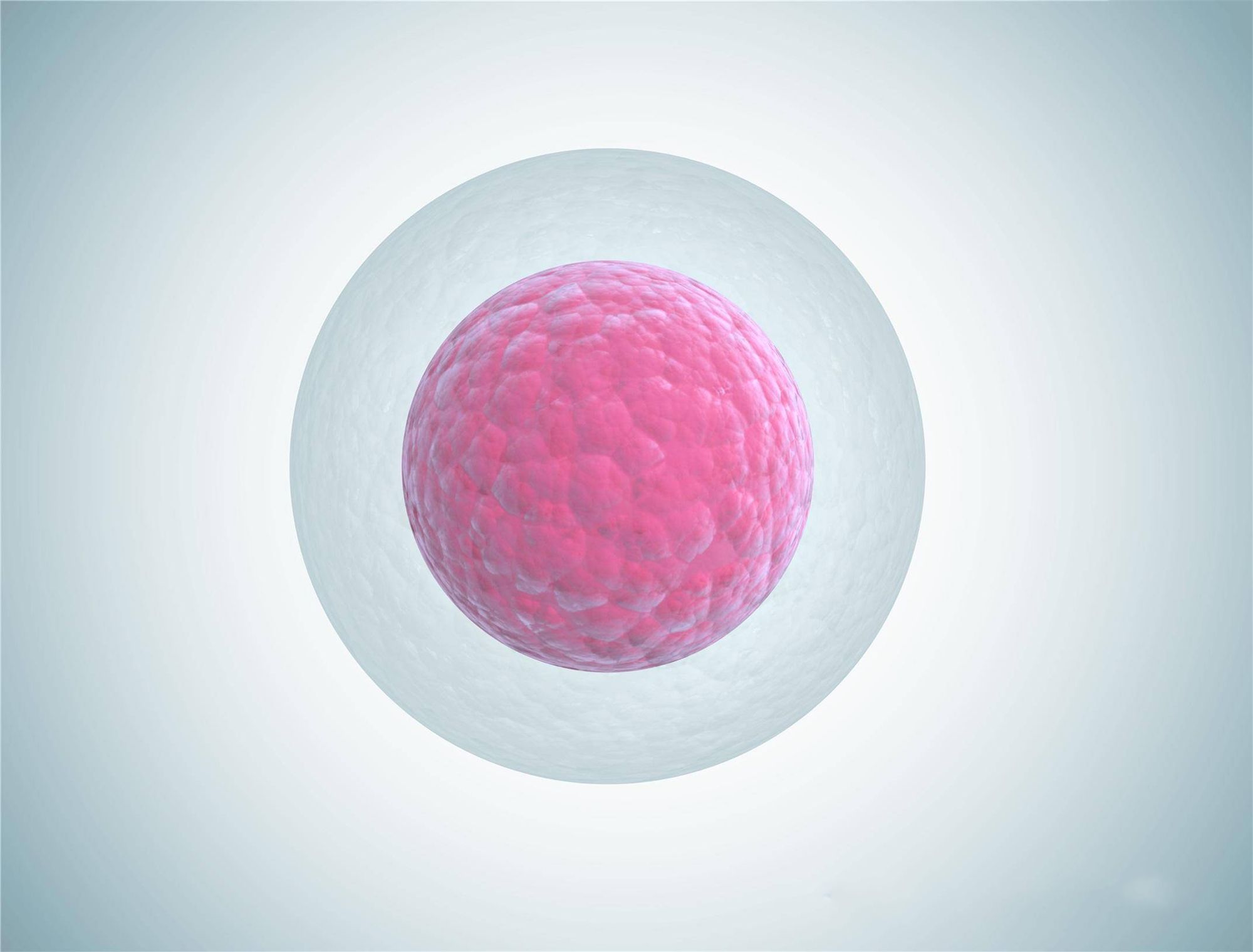 卵子也会偏爱一个男人吗,人类卵子对某些精子情有独钟