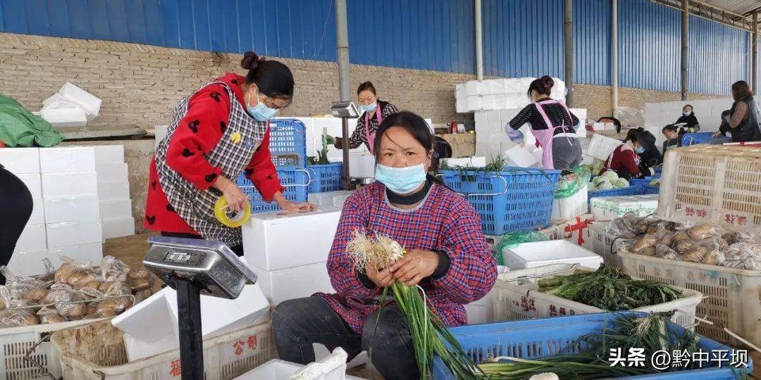 安顺二官水果市场,安顺平坝区二官蔬菜发展