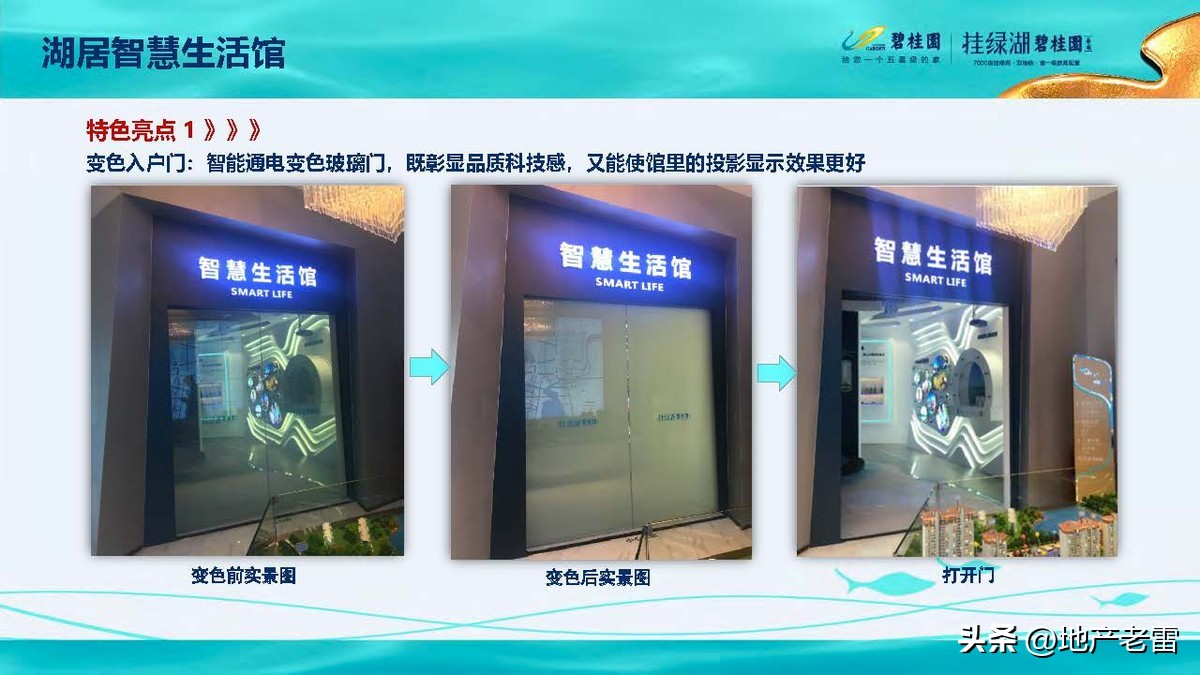 碧桂园精准发展方案,碧桂园的商品房改造方案