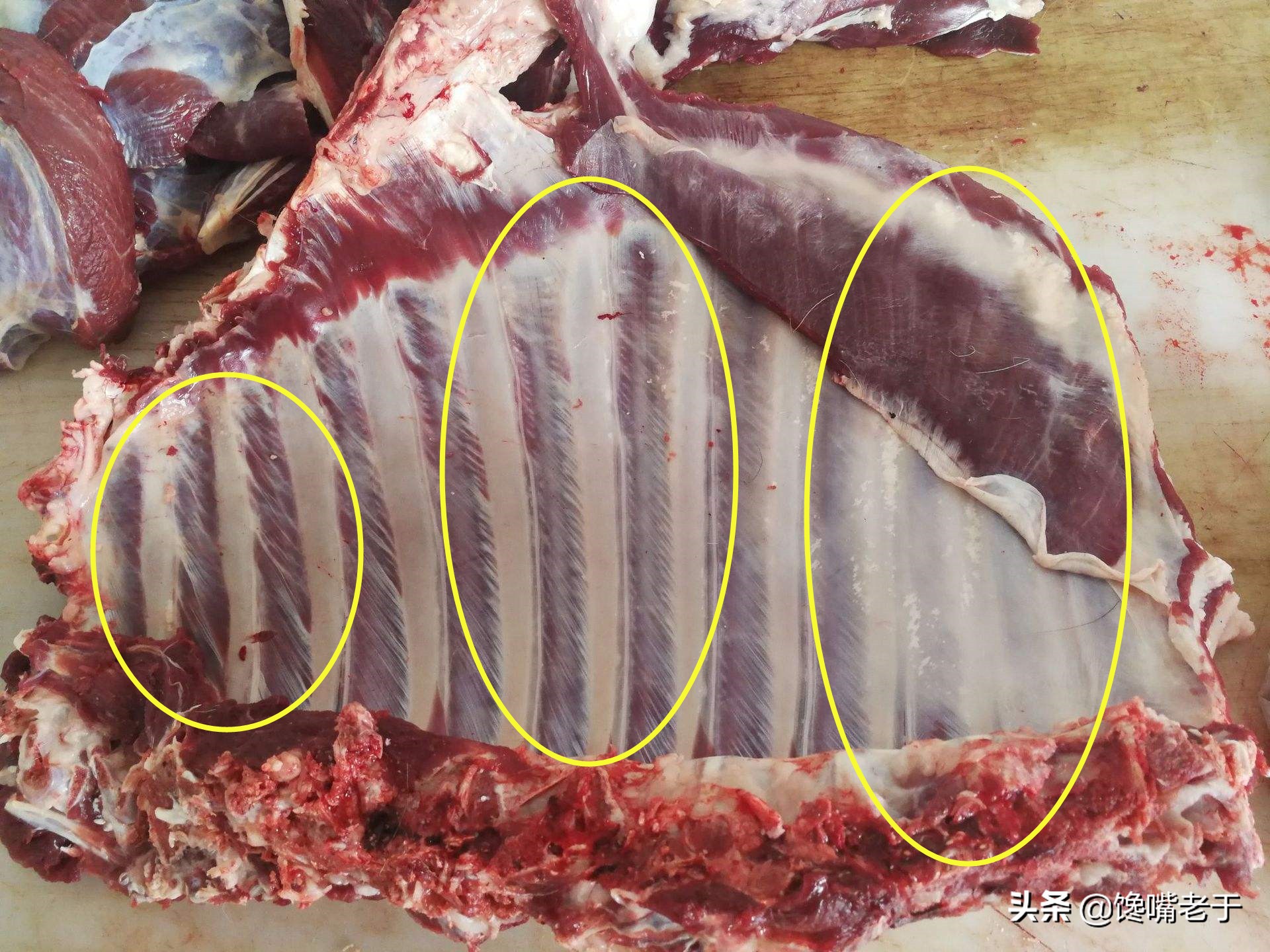 买排骨里面骨头细的好还是粗的好,一般排骨用大排还是小排