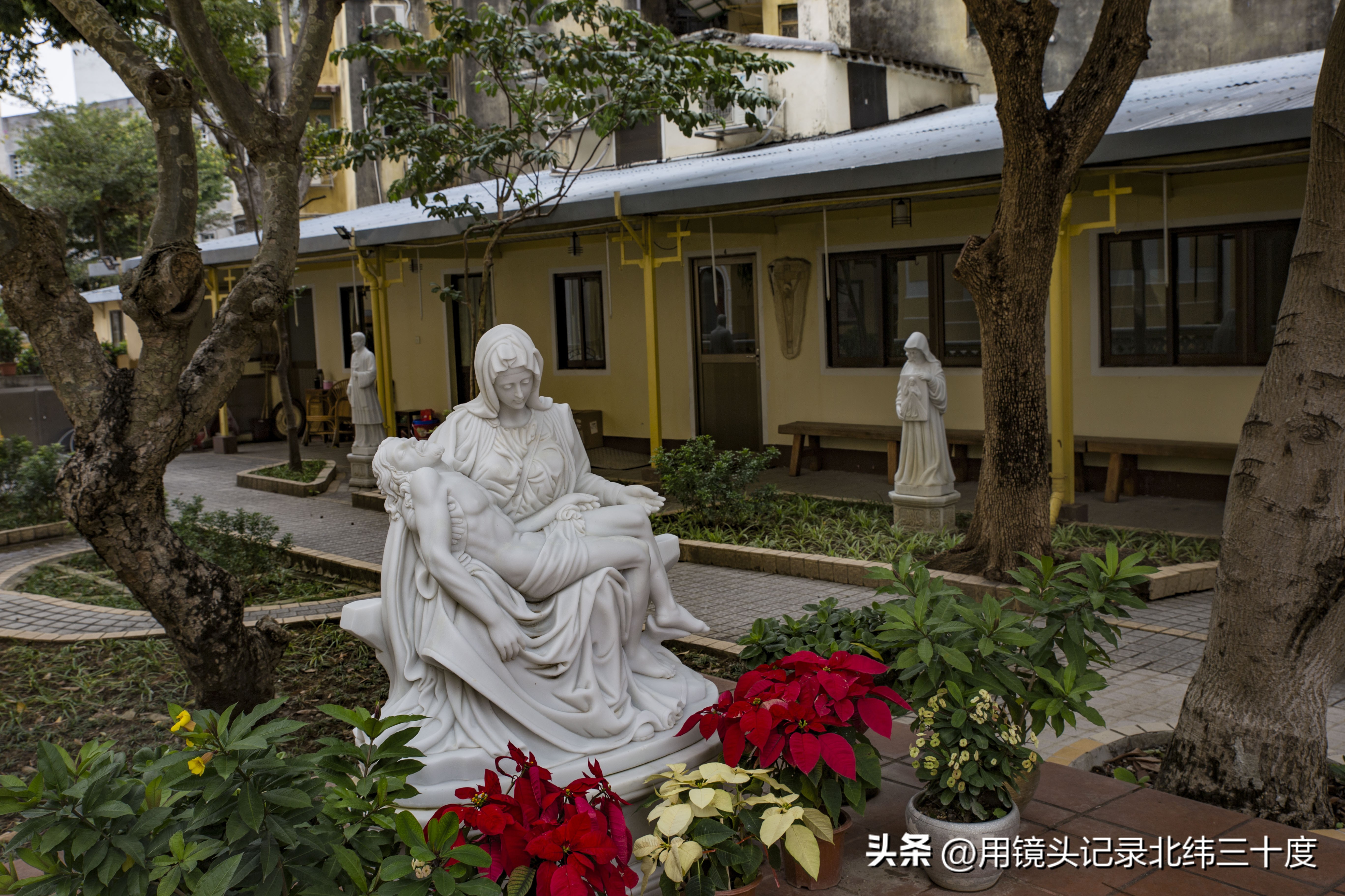 【澳门】一天打卡澳门世遗路线（中）