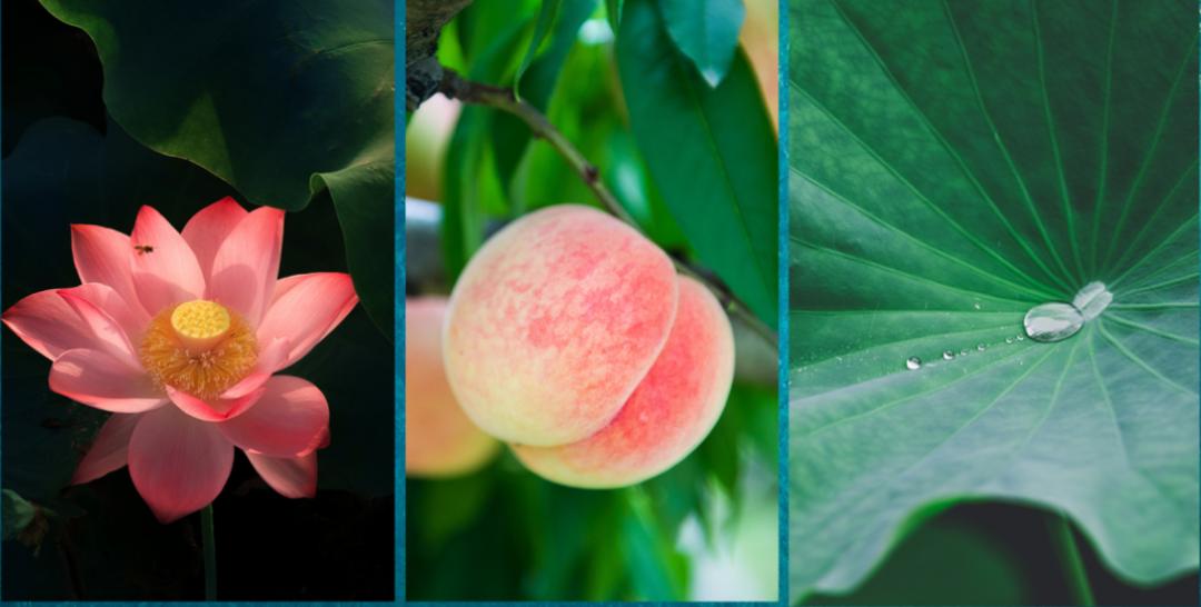 安逸四川冬游天府旅游季优惠频出,四川遂宁市文旅活动