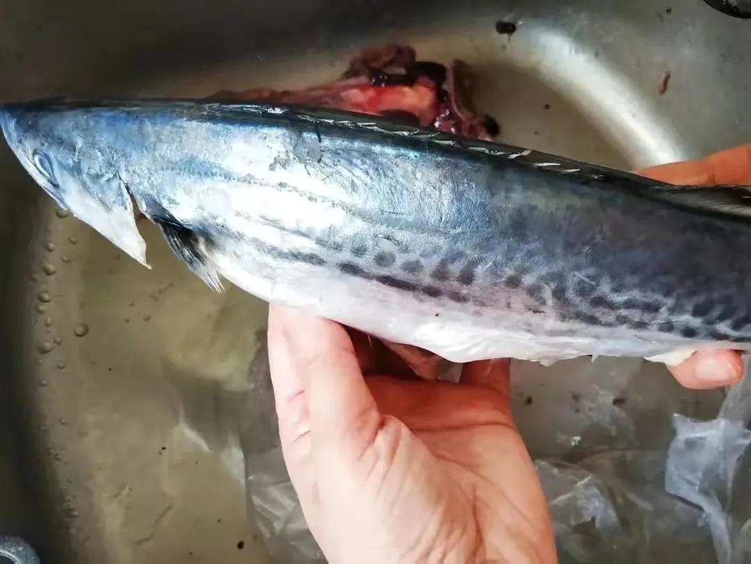 休渔期最不缺的海鲜,伏季休渔最好吃的海鲜