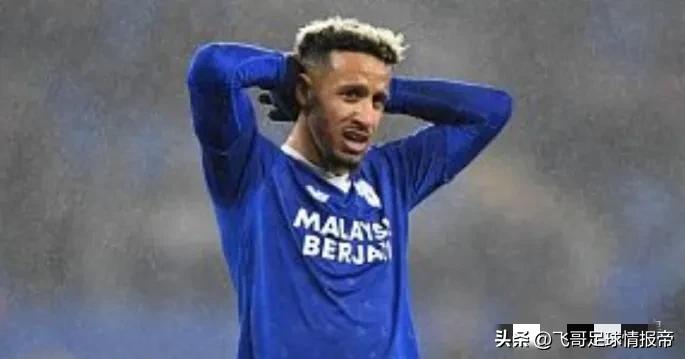 女王巡游对诺维奇比分预测,英冠女王公园巡游者对利兹联赛果