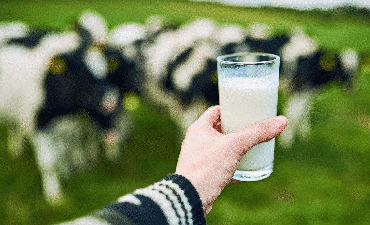 誓颜永恒怎么样,誓颜永恒产品