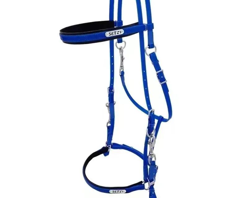 耐力赛骑手和马匹的装备，该如何选择？