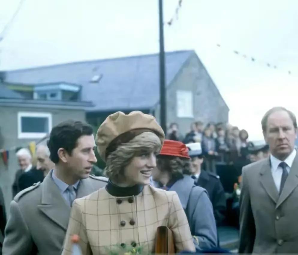 漫画讽刺查尔斯,英国讽刺漫画查尔斯解读