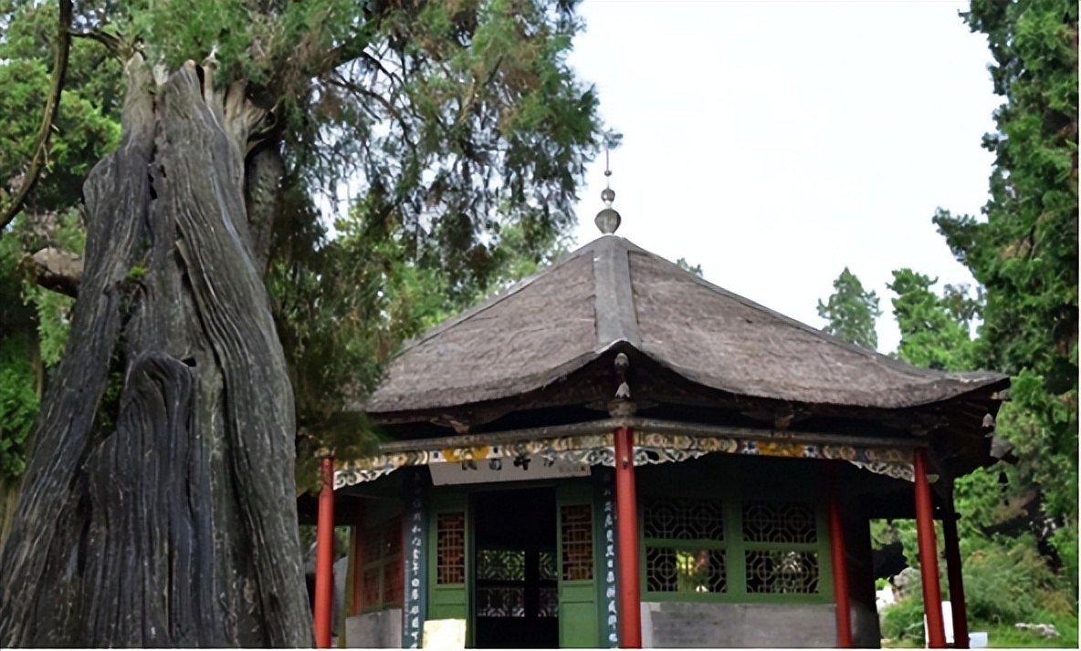 中国最受欢迎的十大端游,中国最受欢迎自驾游318