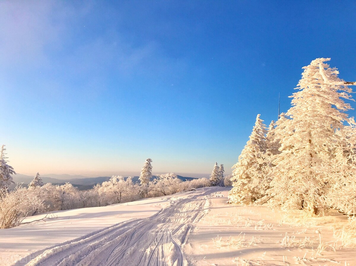 体制内求人办事说话技巧,求人办事教老实人一招处世技巧