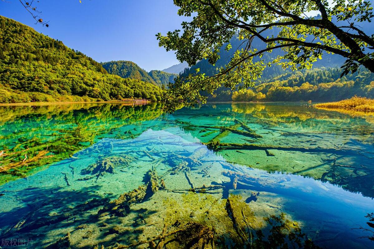 成都旅游攻略五天自由行多少钱,四川成都旅游攻略五日游多少钱