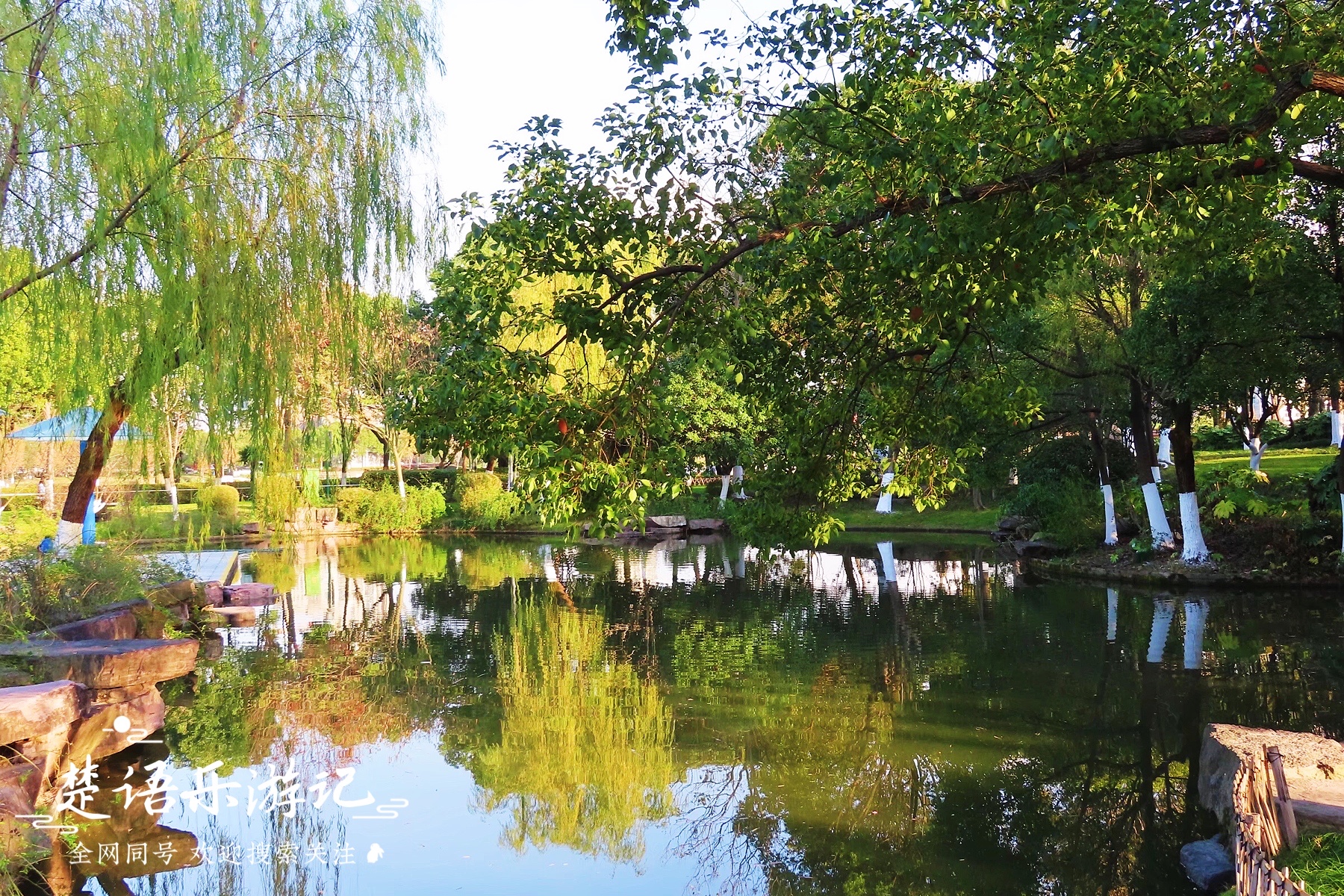 宁波的风景优美的地方,宁波水杉