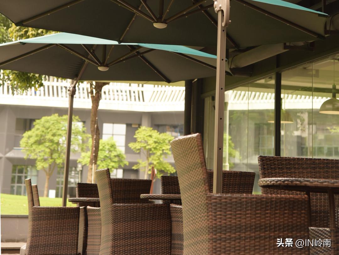 鎷晳浣犵殑澶忓,鎷晳浣犵殑澶忓ぉ