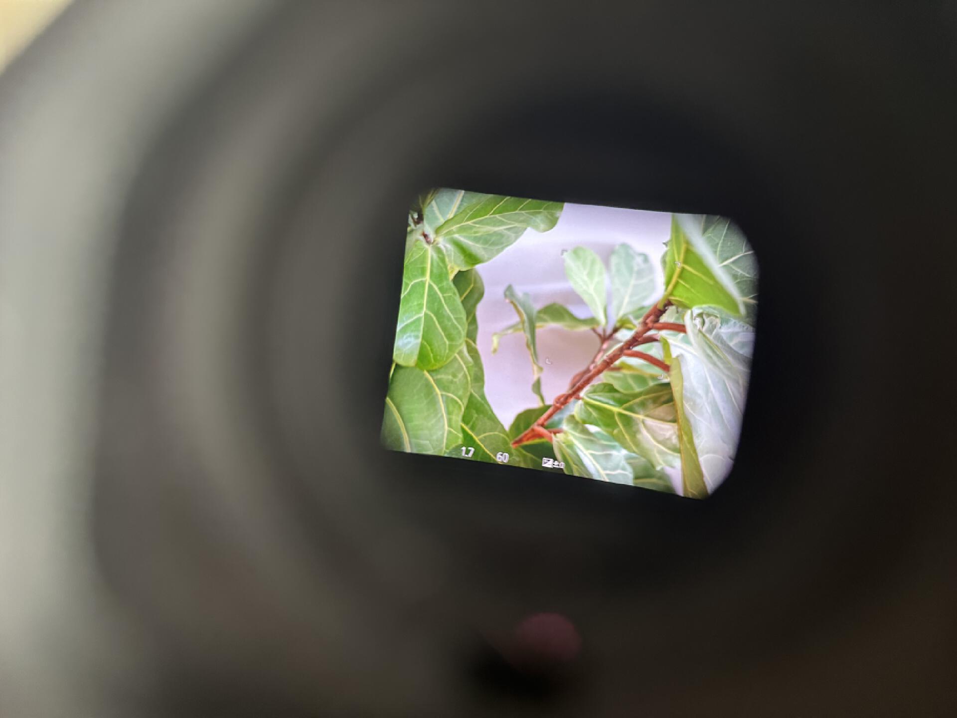 摄影小白如何挑选合适的摄影器材,拍照最好的摄影器材