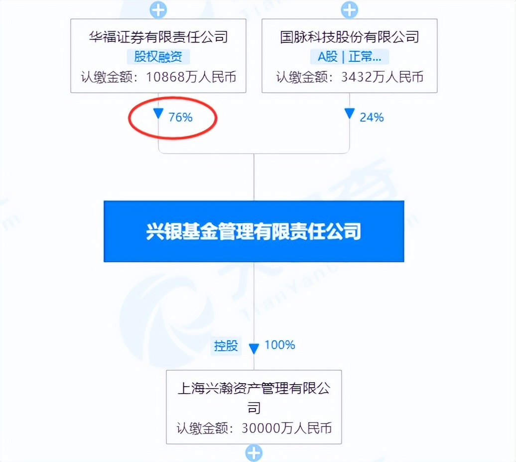 践行基金16条｜兴银基金股市多动症与利益输送基金换手率最高50倍