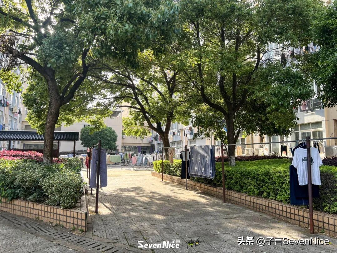 江西现代学院真实感受,江西现代学院最新信息