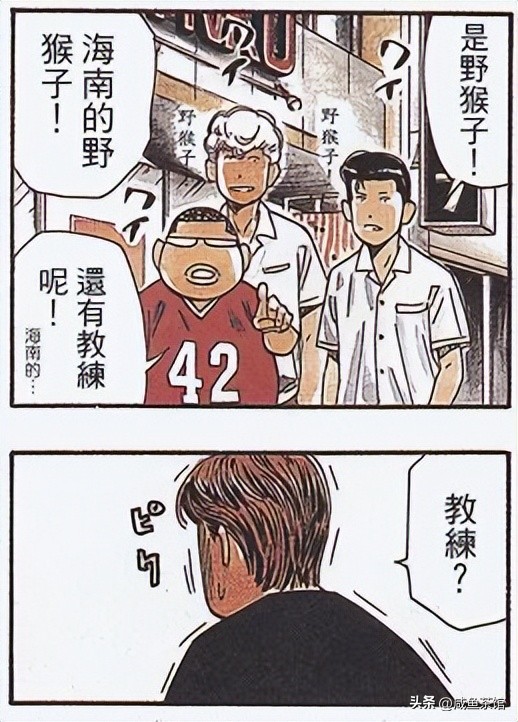 灌篮高手湘北人物一览表,灌篮高手全体叫什么名字