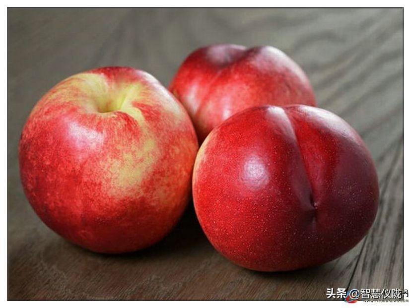 甜度高口感好的桃子,桃子熟了又脆又甜口感特别好