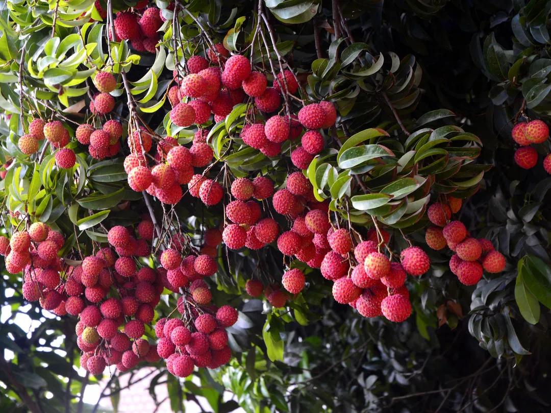 2022年国内宝藏目的地推荐清单来了