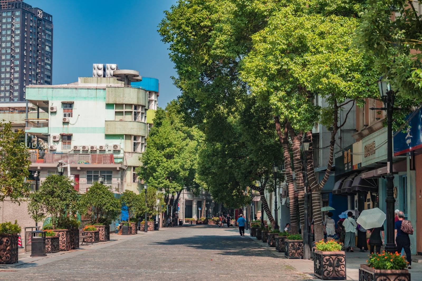 国外俩兄弟买了一栋别墅,武汉100年老房子带院子出售