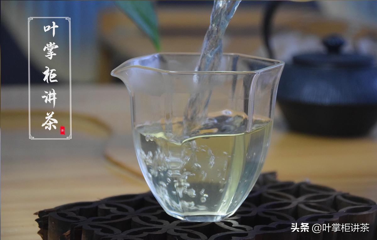 铁观音属于茶种是红茶还是绿茶呢,铁观音属于什么茶绿茶还是红茶