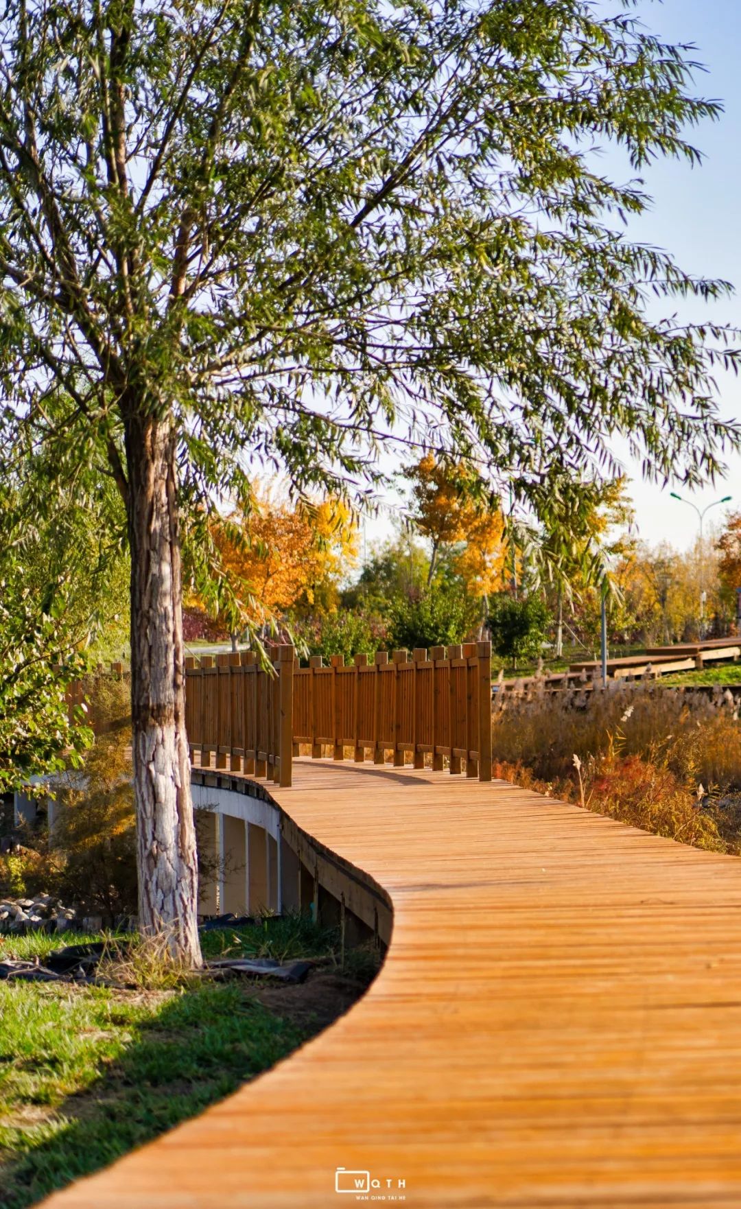 生态城新的公园,城市运动公园最新规划