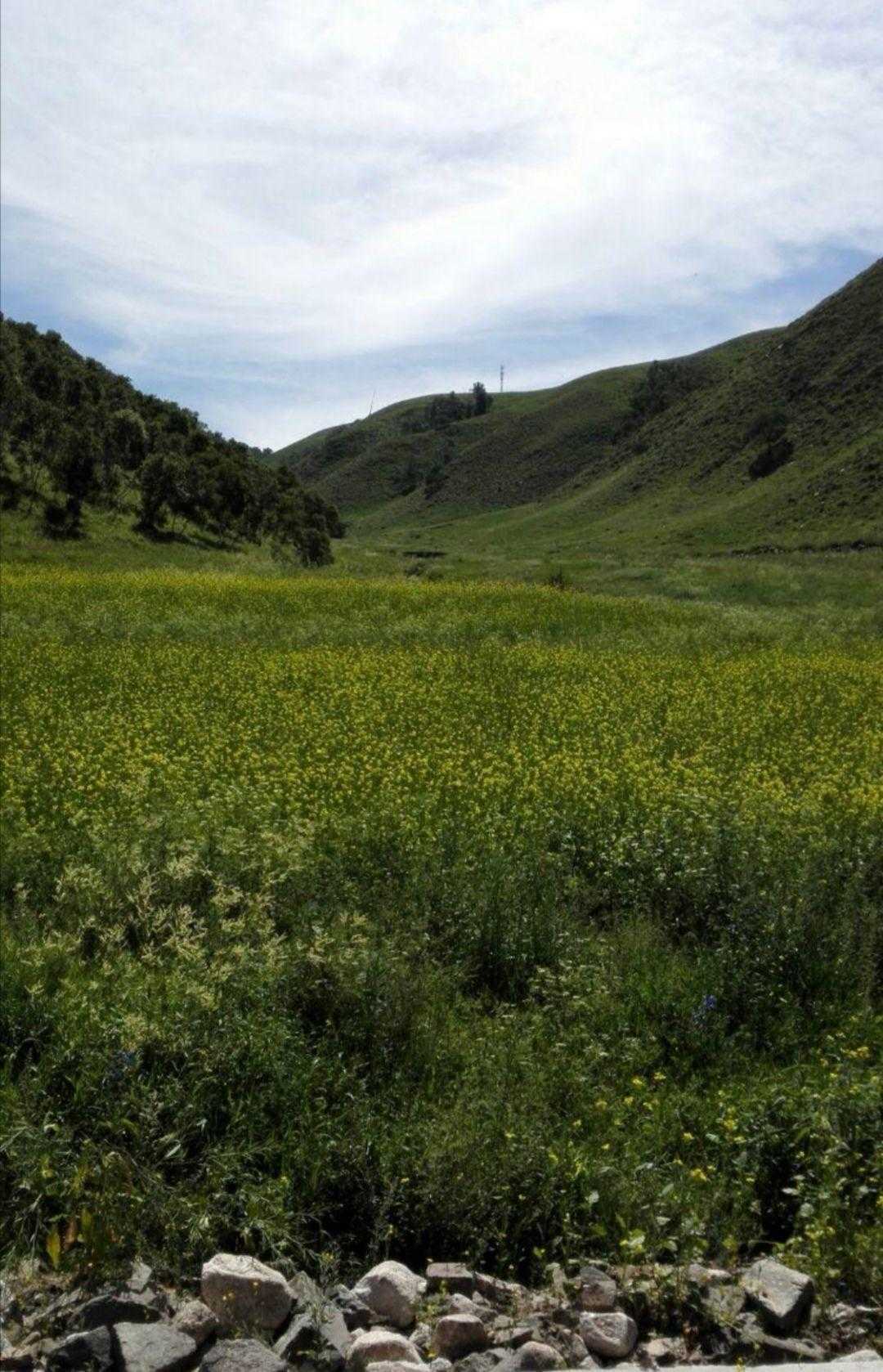 黄花沟一日游自由行攻略,黄花沟一日游美篇
