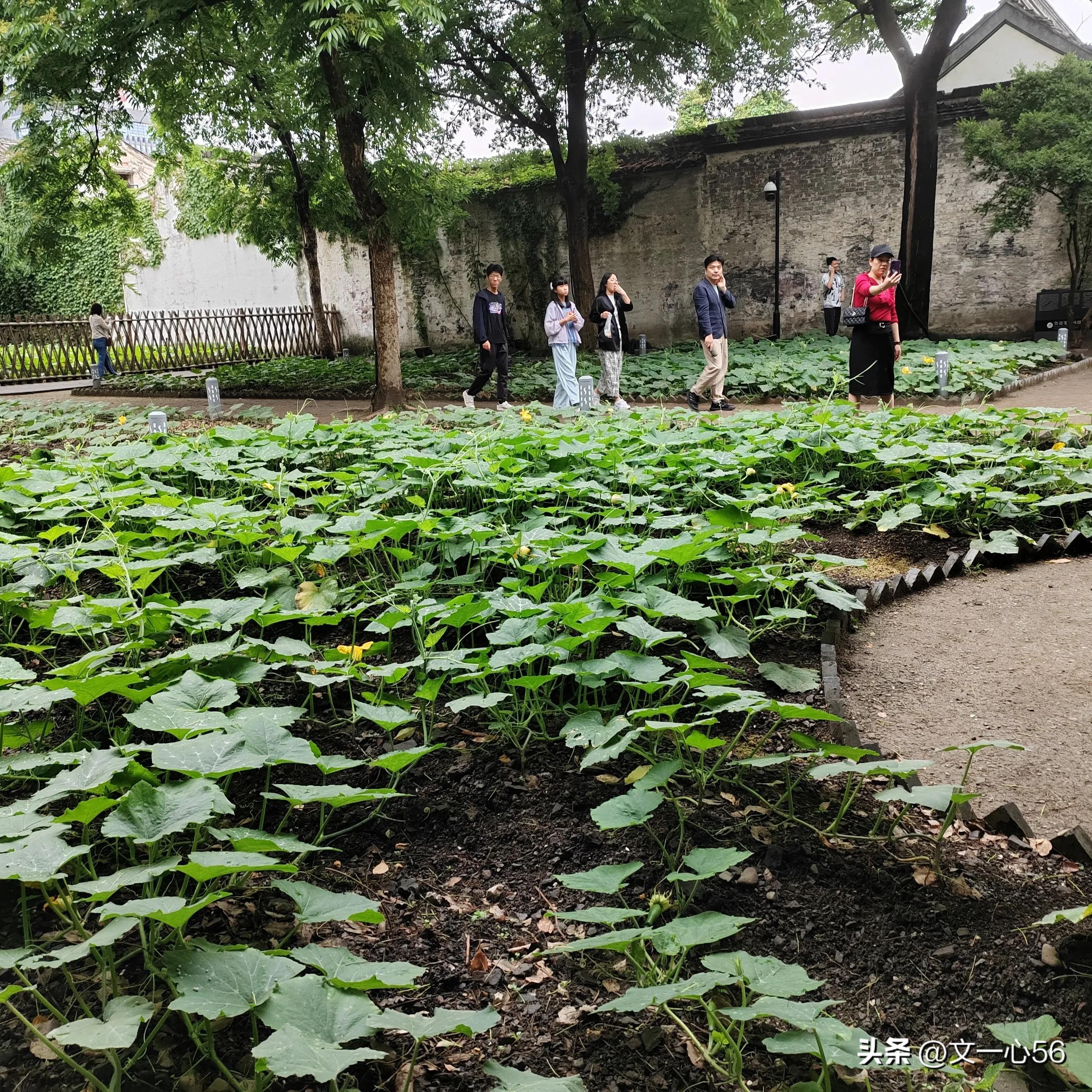 化疗的副作用和并发症,动脉化疗和静脉化疗副作用
