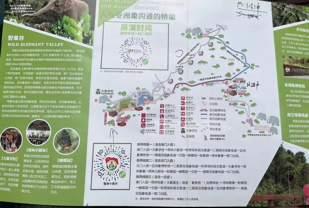 野象谷：给大象拴铁链子，好比人类遛狗的时候拴狗绳