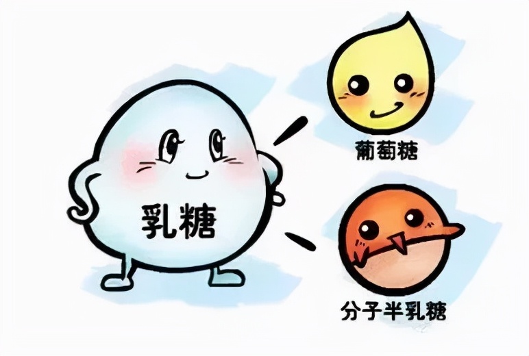 羊初乳：“乳”此珍贵，你值得拥有