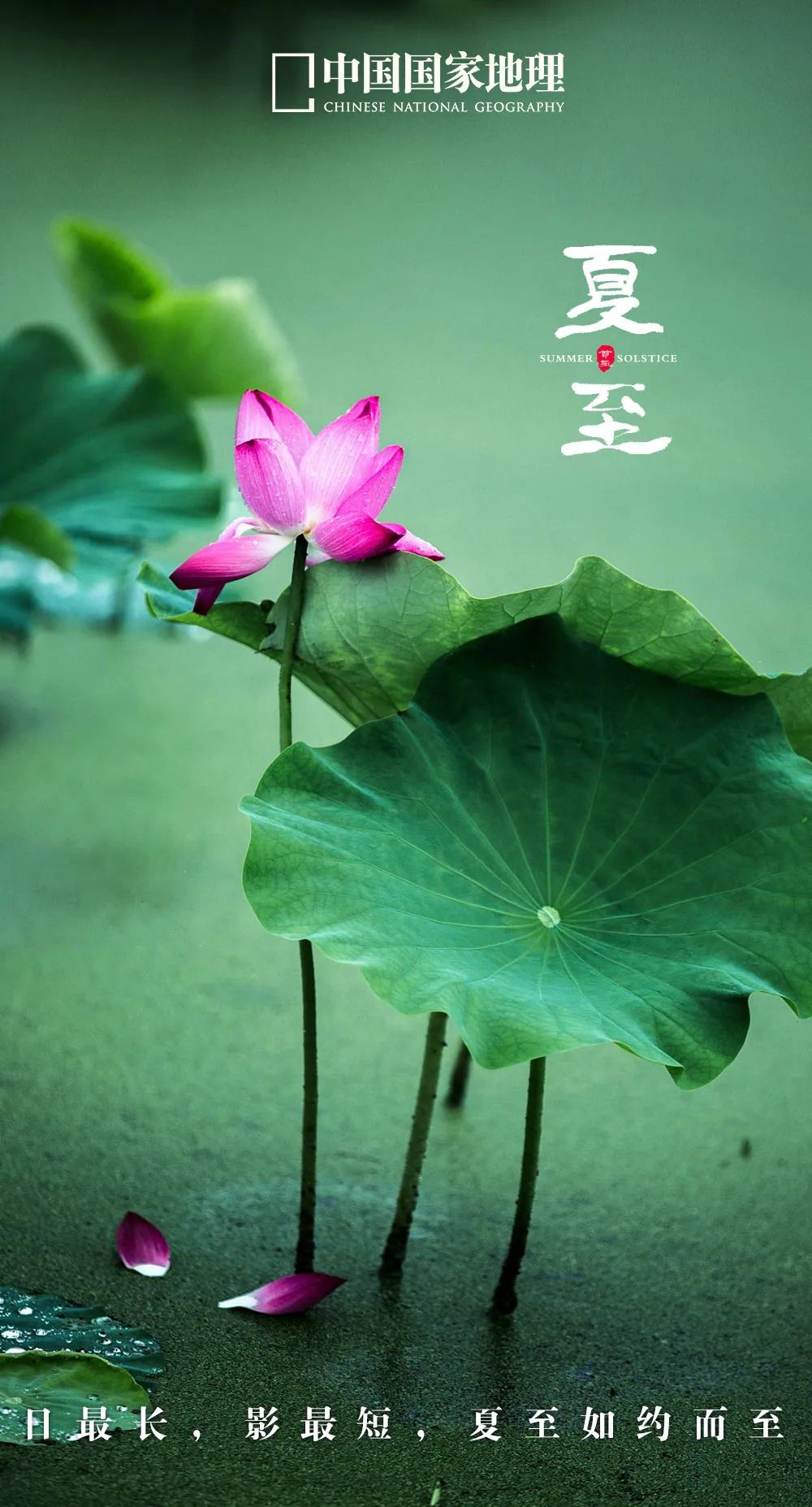 一年中最有智慧的节气图片,365天最美24节气图诞生惊艳国人