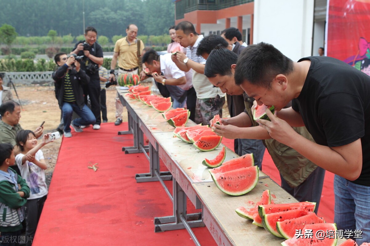 孙培博西瓜视频讲座,孙培博大棚西红柿种植技术
