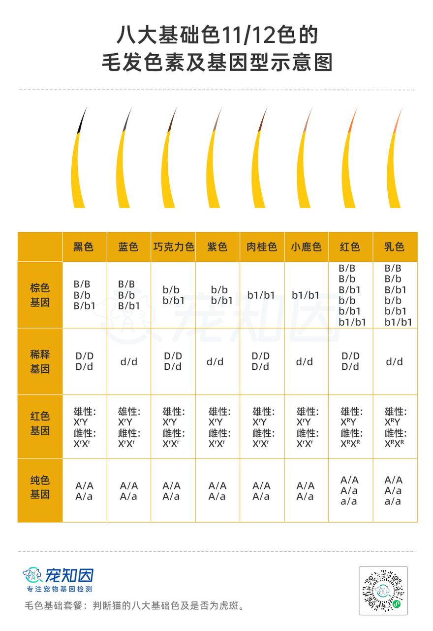 基因克隆最新突破,基因最新突破