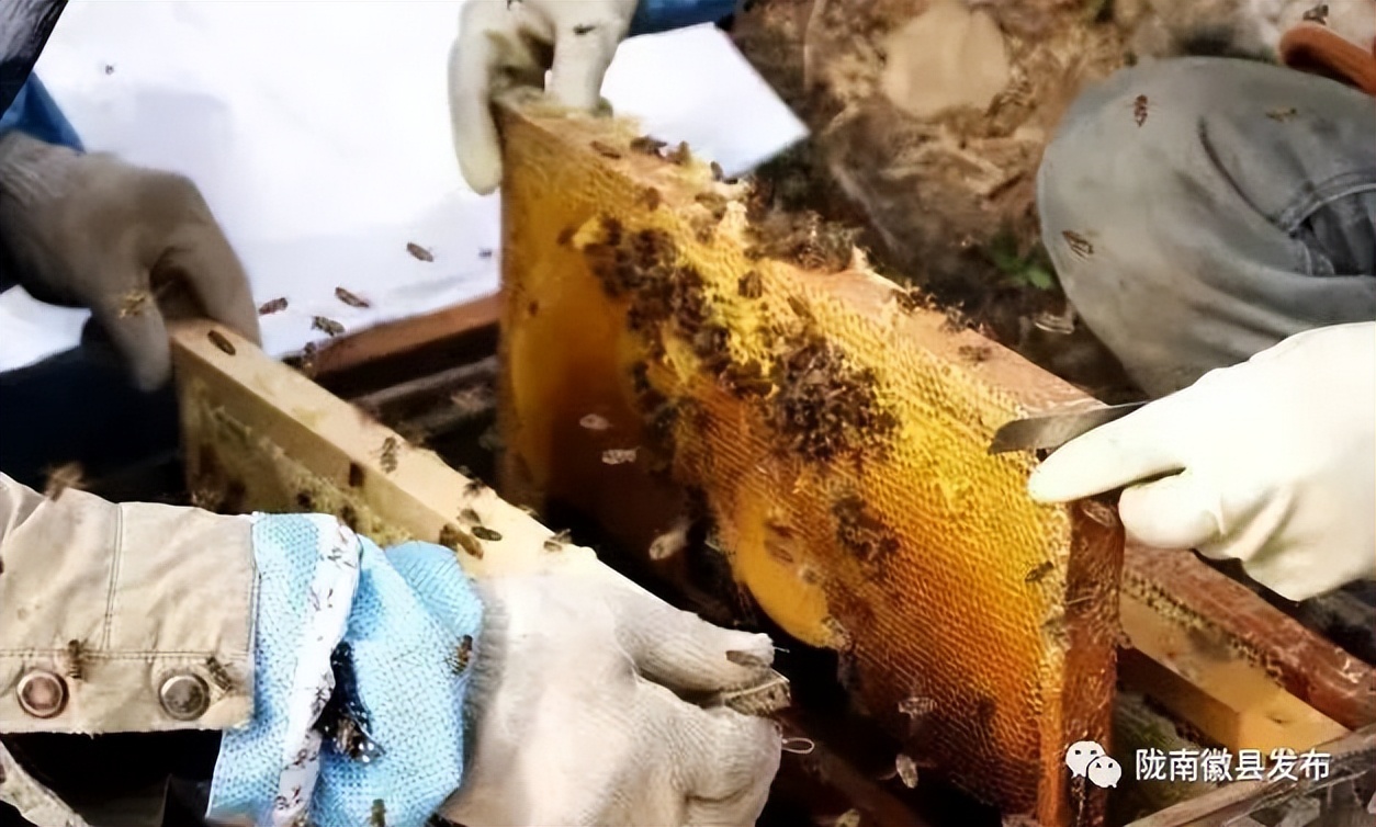 凝心聚力共绘高质量发展新蓝图,凝心聚力谋新篇齐心协力绘蓝图