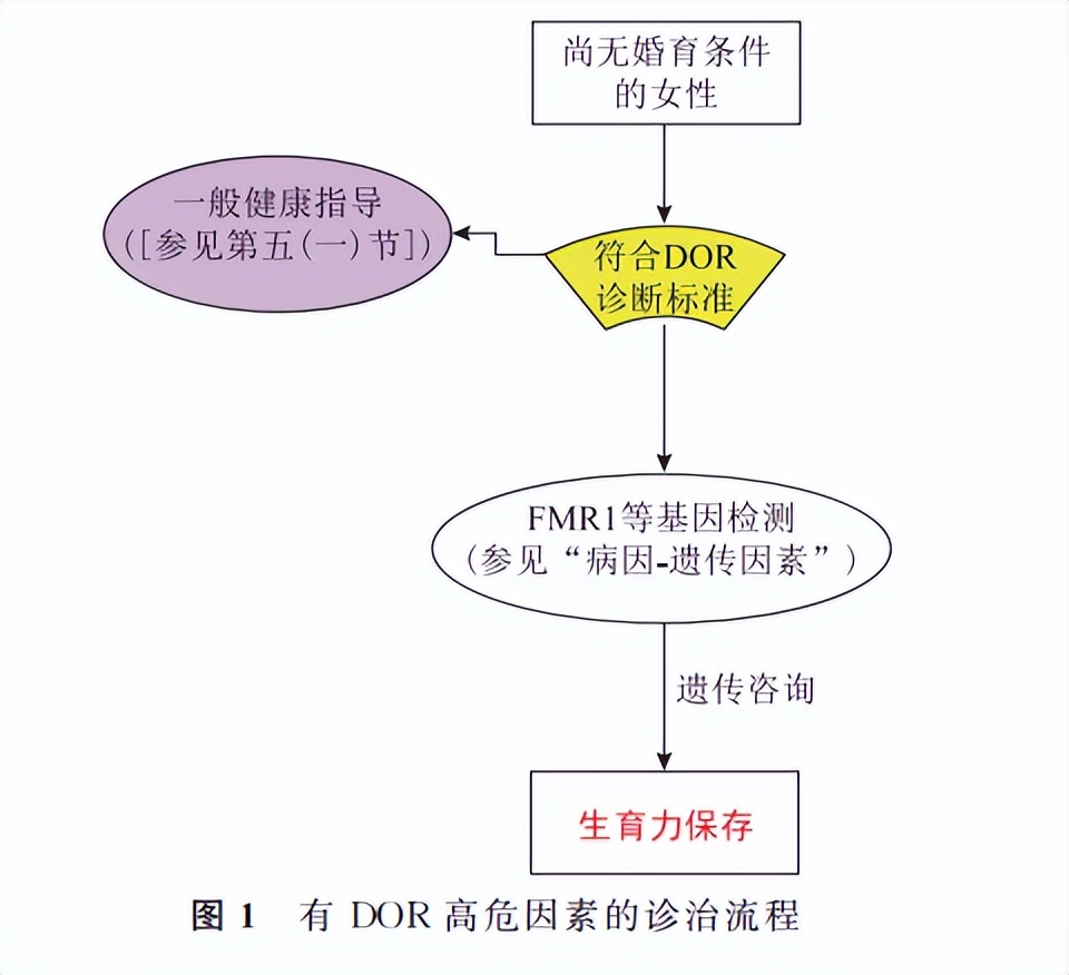 派特灵科普2022年最新|卵巢储备功能减退临床诊治专家共识