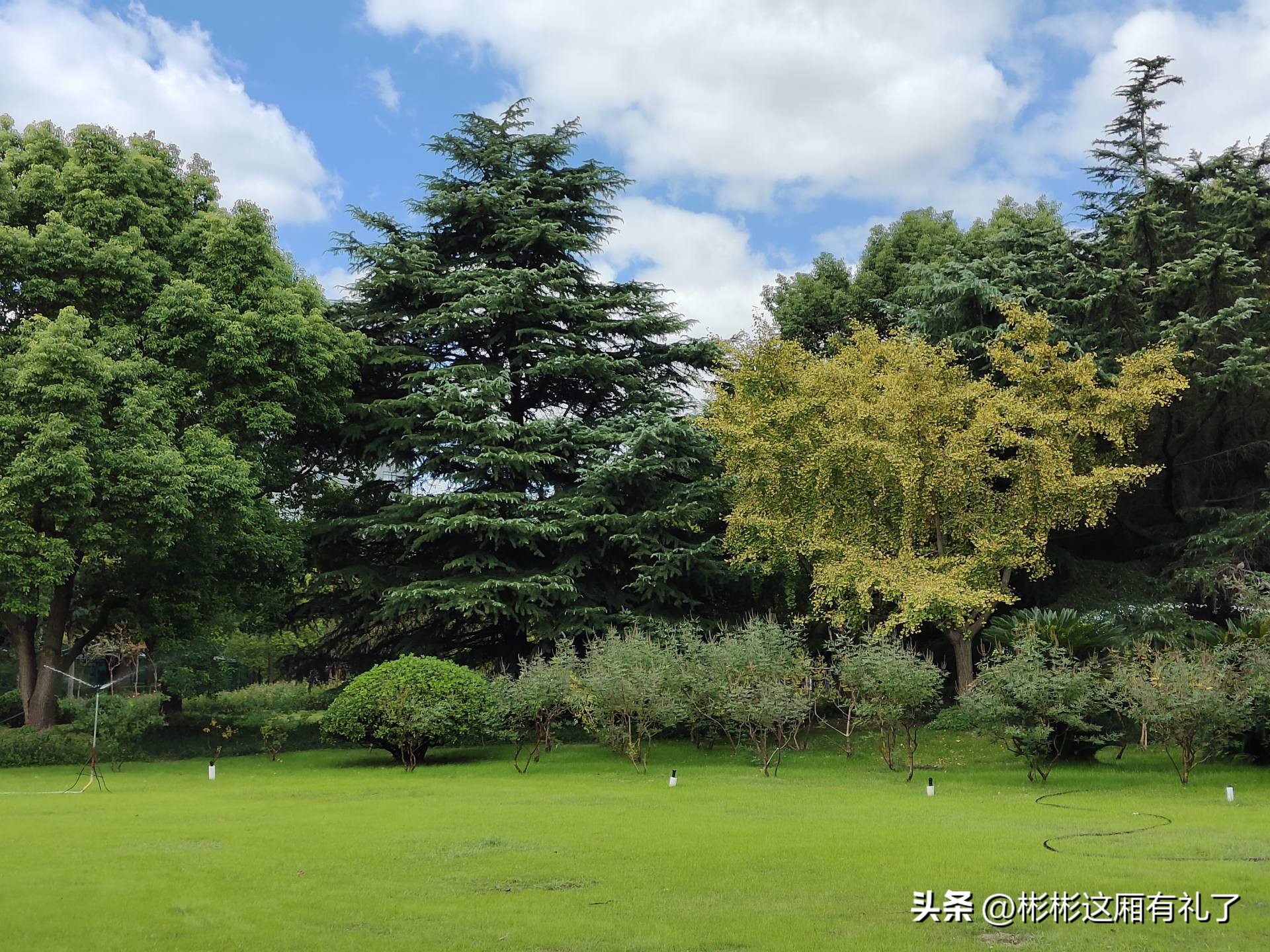 一加acepro与苹果13哪个反应快,一加acepro和苹果13