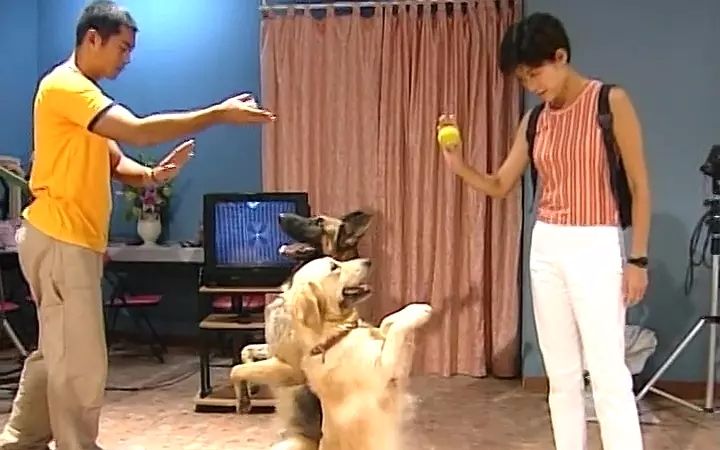 张智霖容祖儿综艺节目,容祖儿张智霖一首醉人的歌