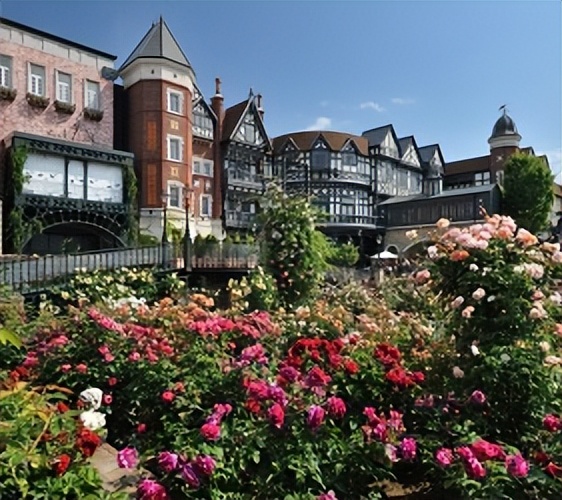 北海道的薰衣草花海在哪里,日本北海道薰衣草花海图片