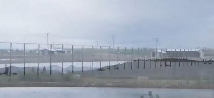 农村大叔用火养鱼年入千万,江西大叔深山养鱼一年收入几百万