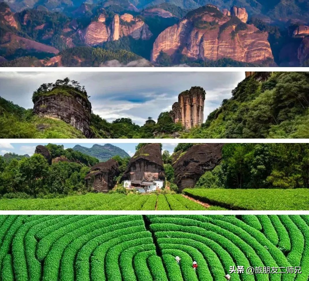 福建武夷山旅游攻略自由行,鼓浪屿武夷山土楼旅行8日游