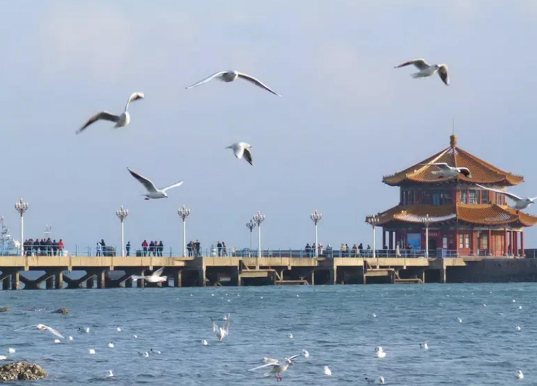 自然风光青岛秦皇岛哪个更好玩,青岛极地海洋和海底世界哪个好玩