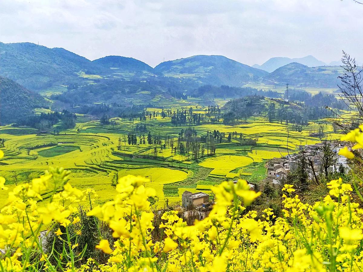 春风吹拂大地一片生机,春风吹拂生机盎然