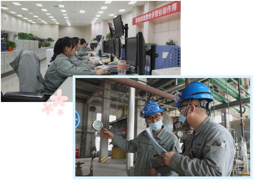 抓项目促投资稳增不动摇,我市多点发力投资新能源项目发展