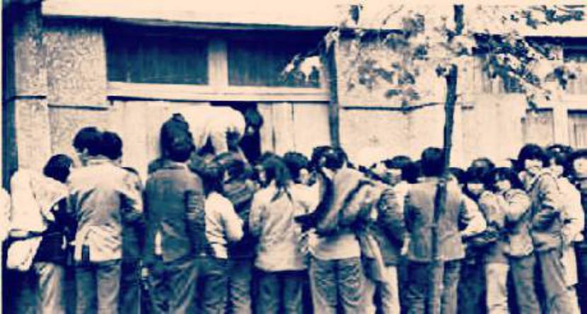 探访夷陵遗址,宜昌西陵区历史