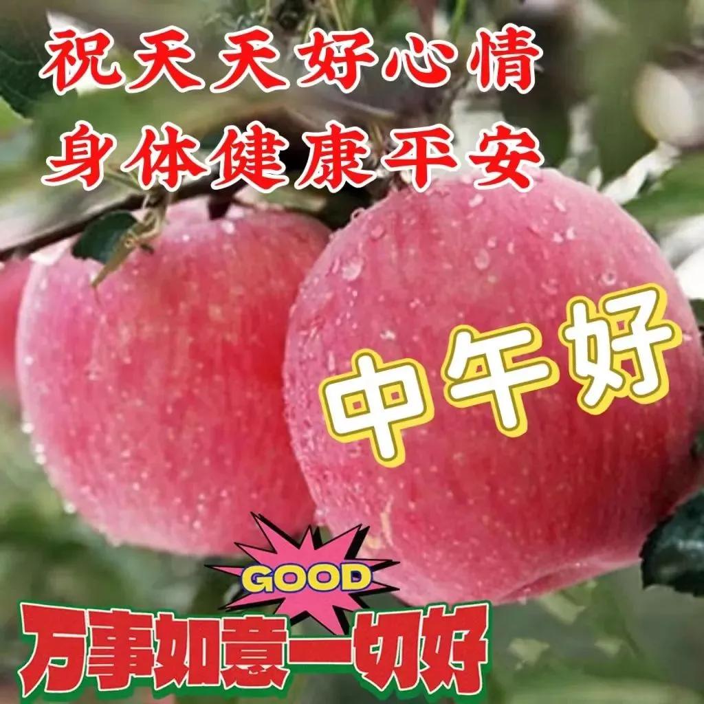 周五最美早安问候语图片带字温馨,星期天早安问候语简短一句话图片