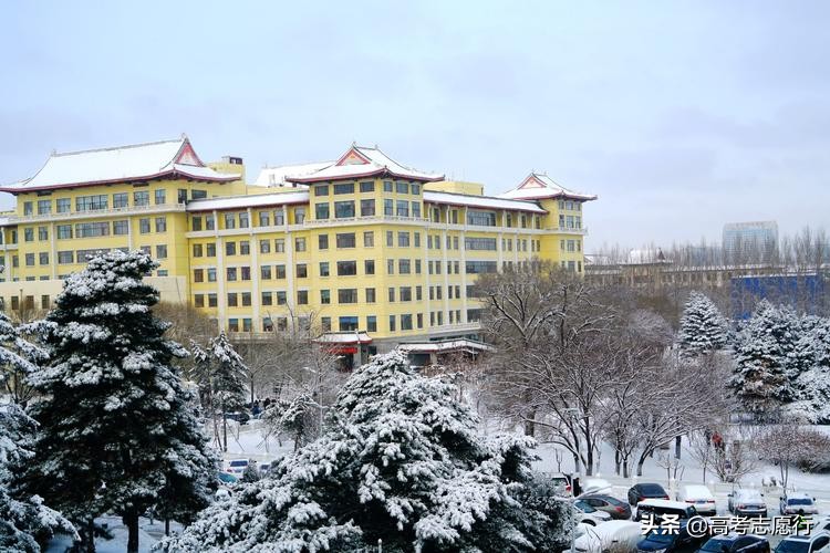 哈医大2020录取线临床医学,哈医大录取分数线2020年