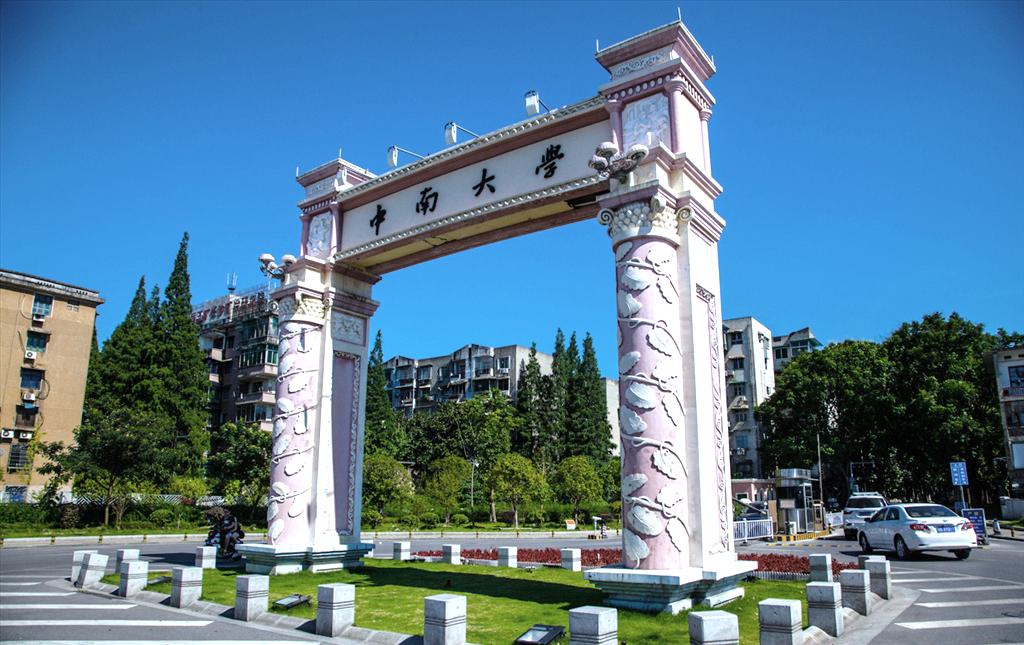 中南大学新材料发明,中南院青年科技创新与实践