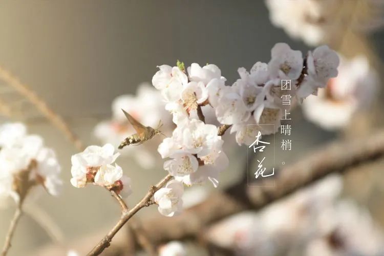 滦州古城都有哪些特色美景,滦州古城江南