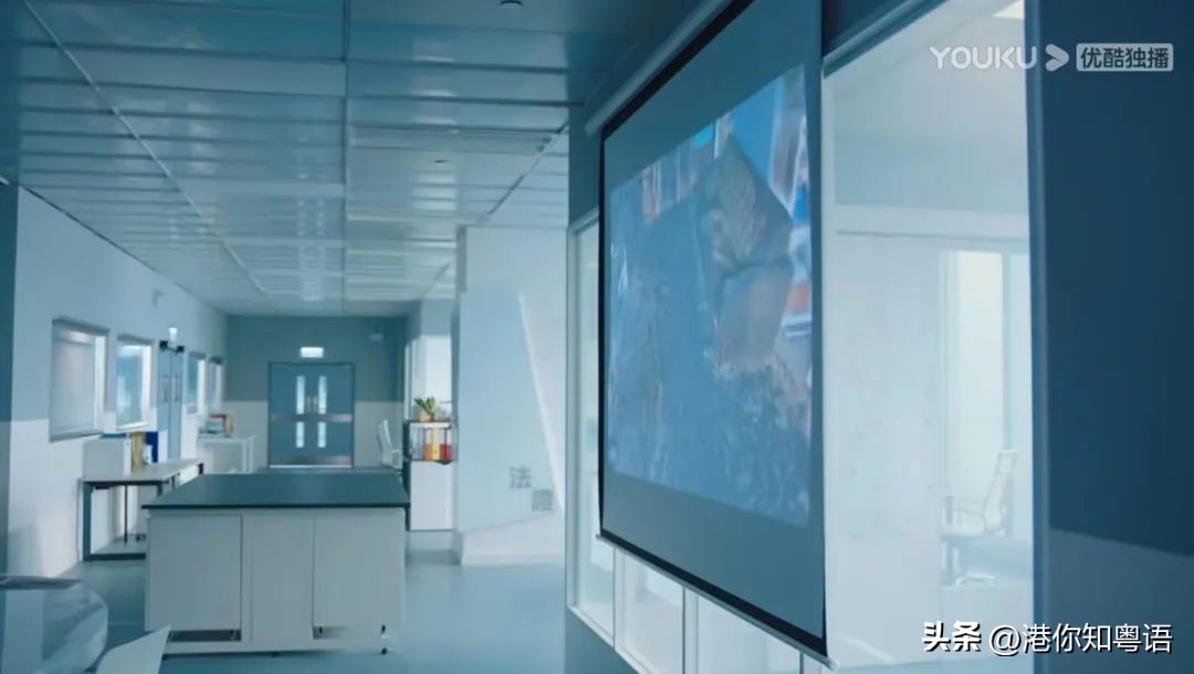 开坑《法证5》前，一定要理清这些人物关系