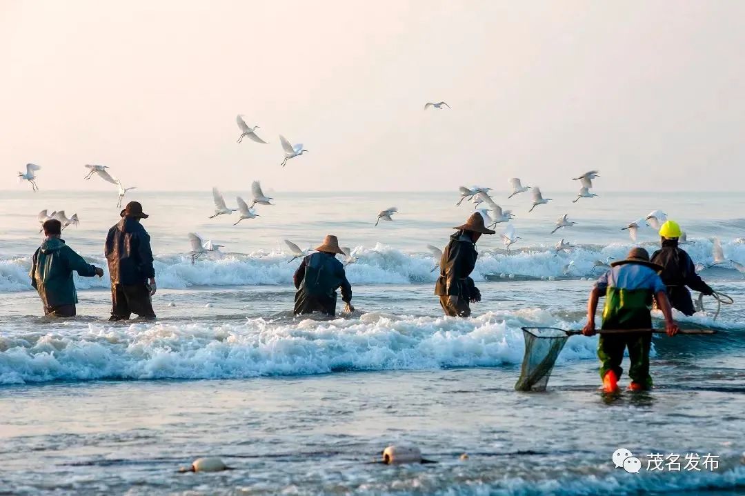 疍家特色文化,游玩疍家文化